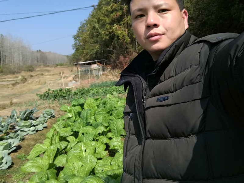 倔强的驴的第一张照片--台湾蓝颜知己交友网