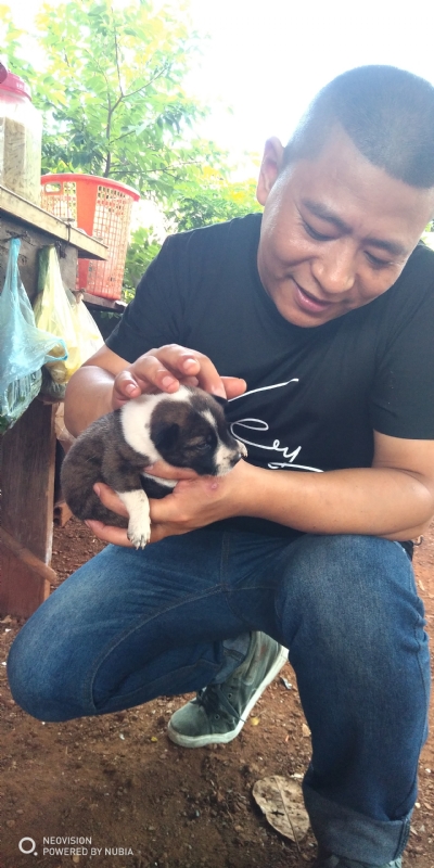 深圳相亲的第一张照片--台湾蓝颜知己交友网