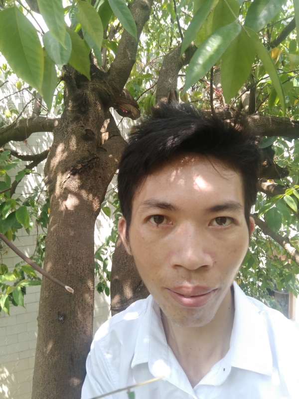 求缘的第二张照片--台湾蓝颜知己交友网